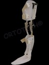 Orteză de genunchi-gleznă-picior // Knee-ankle-foot orthosis (k.a.f.o.)